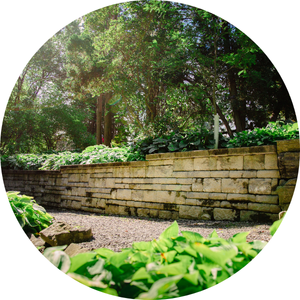 dominion arbotoreum Rent with Minto Apartments